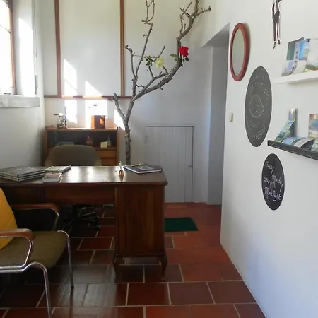 Hostel Lemon Tree *